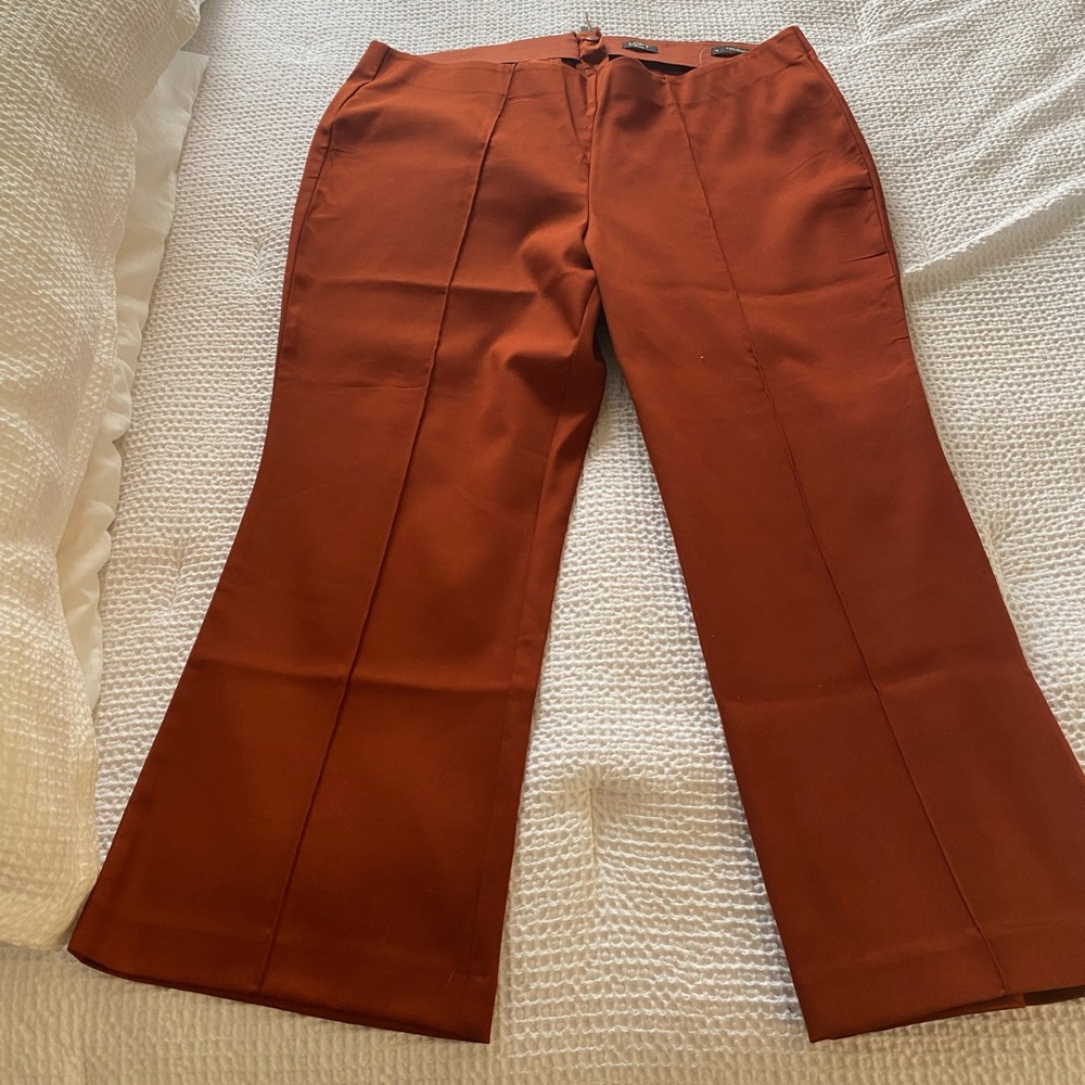 Loft Plus Flare Dress Pants - Burnt Orange - 18 - NWT